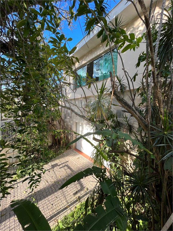 Casa Assobradada Tucuruvi - Jardim Kerlakian
