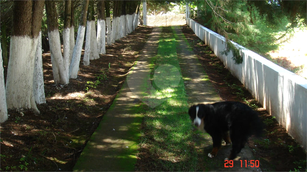 Fazenda à venda com 4 quartos, 400m² - Foto 18