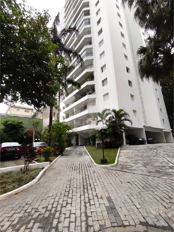 Excelente Apartamento na Casa Verde