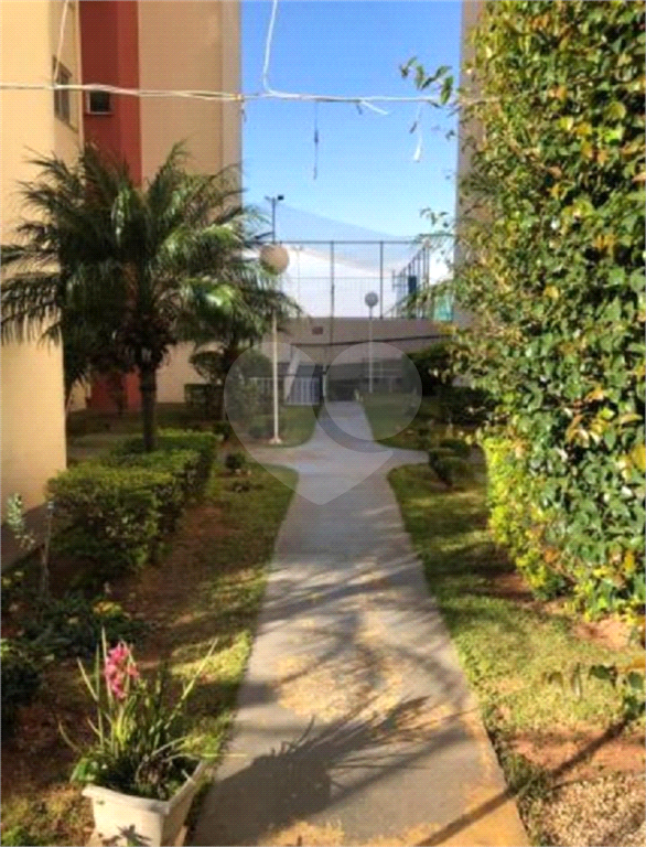 APARTAMENTO em LIMÃO