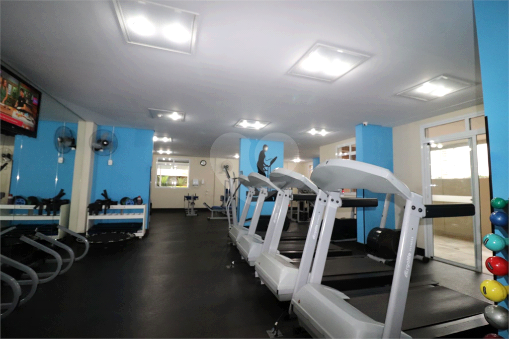Lauzane apartamento com 118 m² recém reformado tem 3 quartos 2 vagas e  Varanda Gourmet!!  