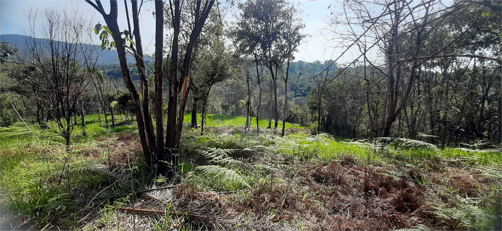 Terreno à venda, 4376m² - Foto 16