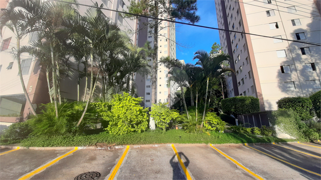 Apartamento à venda na Pedra Branca , com 2 quartos , 1 vaga garagem,  1 km do Horto Florestal