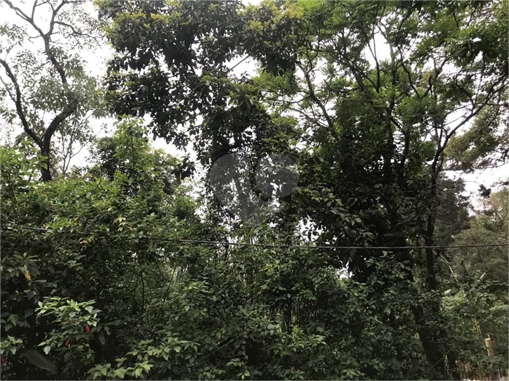 TERRENO em SERRA DA CANTAREIRA