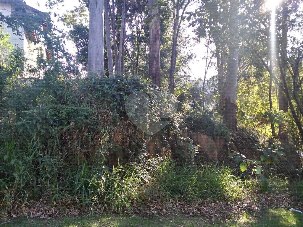 TERRENO em SERRA DA CANTAREIRA