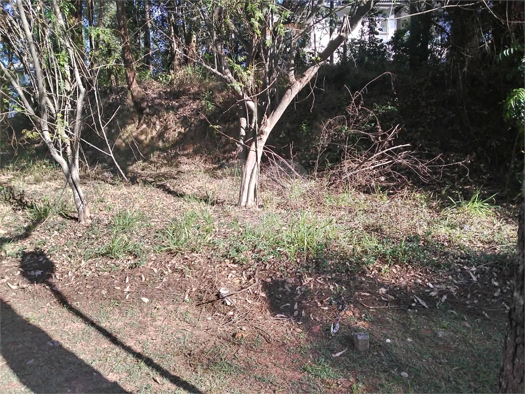TERRENO em SERRA DA CANTAREIRA