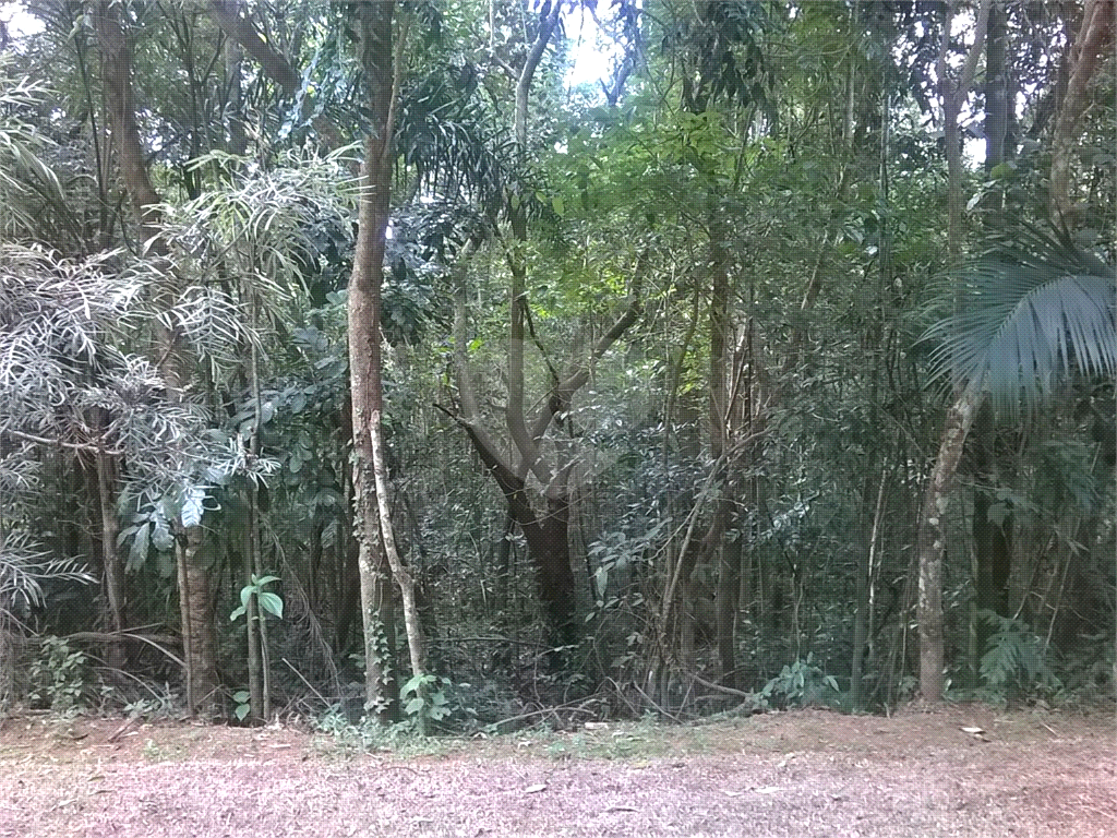 TERRENO em SERRA DA CANTAREIRA