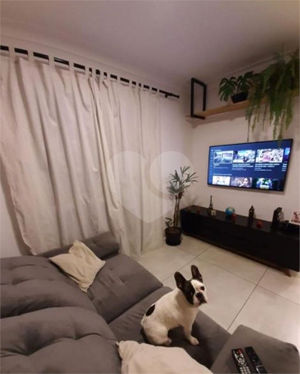 APARTAMENTO em VILA MATILDE