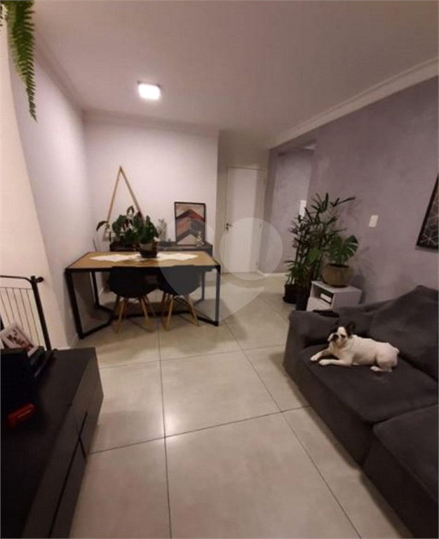 APARTAMENTO em VILA MATILDE