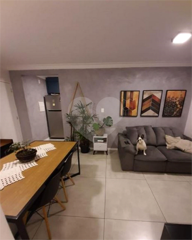 APARTAMENTO em VILA MATILDE