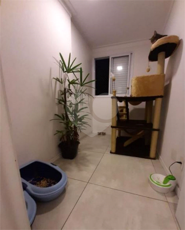 APARTAMENTO em VILA MATILDE