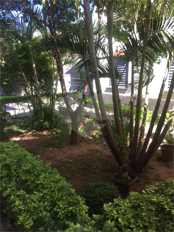 Apartamento / Tremembé