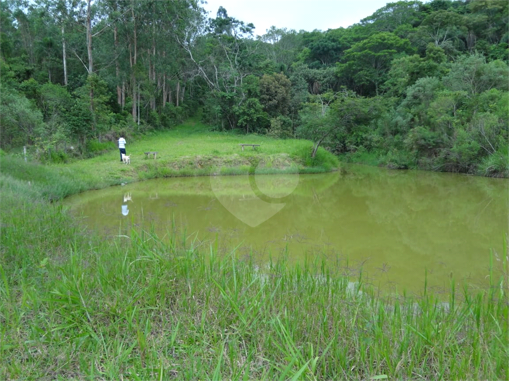 Fazenda à venda com 4 quartos, 1000m² - Foto 3