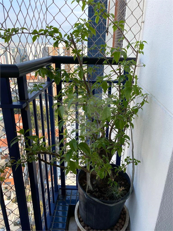 Apartamento em Santana 