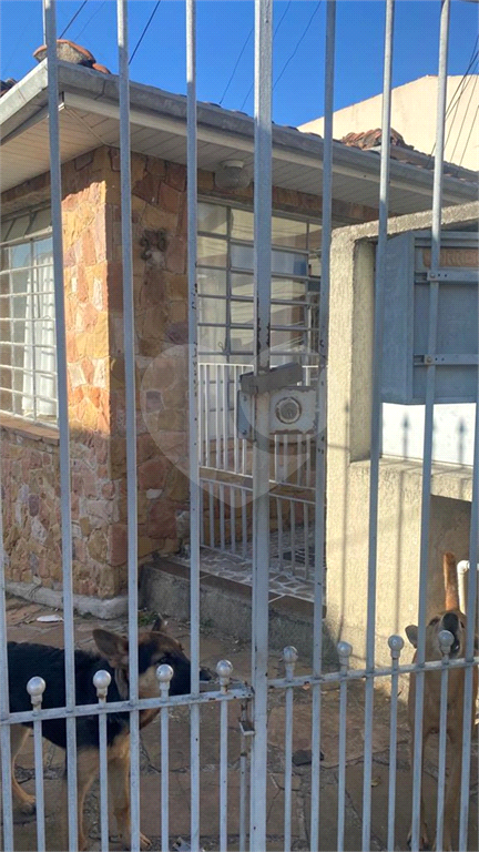 TERRENO em VILA ISOLINA MAZZEI