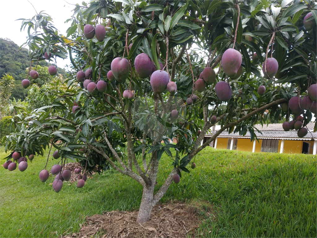 Fazenda à venda com 3 quartos, 100m² - Foto 13