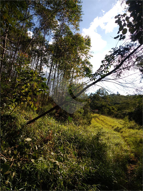 Fazenda à venda com 3 quartos, 100m² - Foto 11