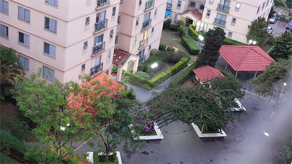 APARTAMENTO em PARQUE BRISTOL