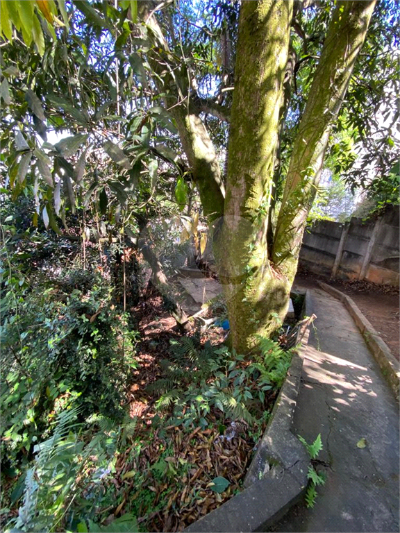 Terreno Comercial à venda em Bom Pastor, Juiz de Fora - MG - Foto 16