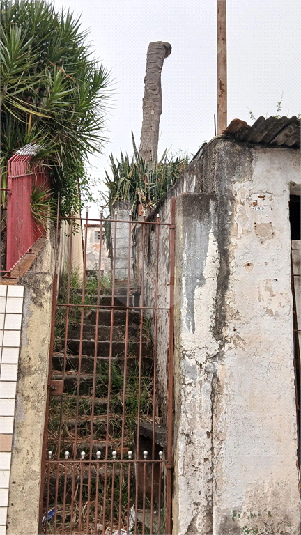 Excelente terreno para construtor - proximo ao Metrô Tucuruvi