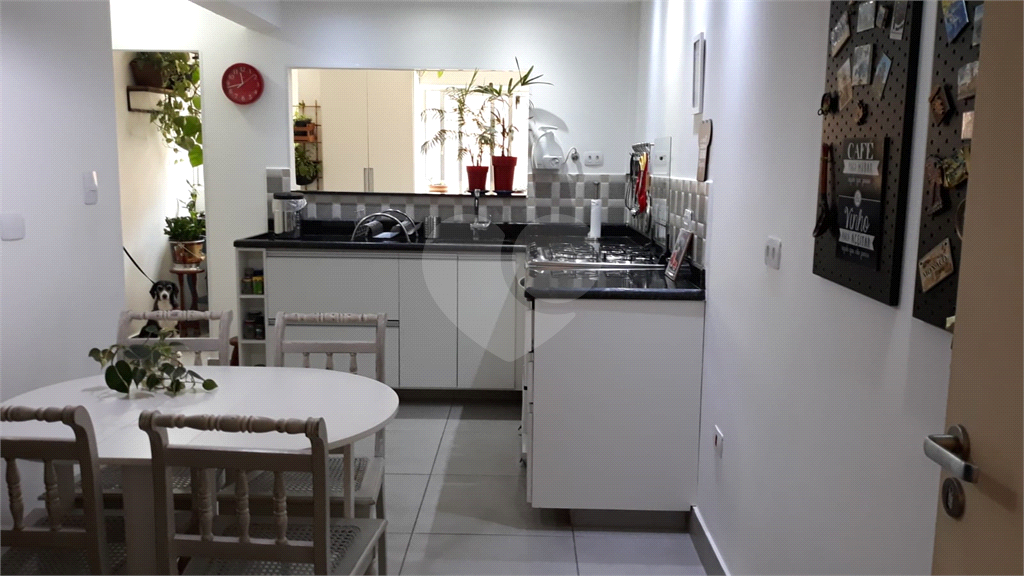 Apartamento no Bairro do Cambuci