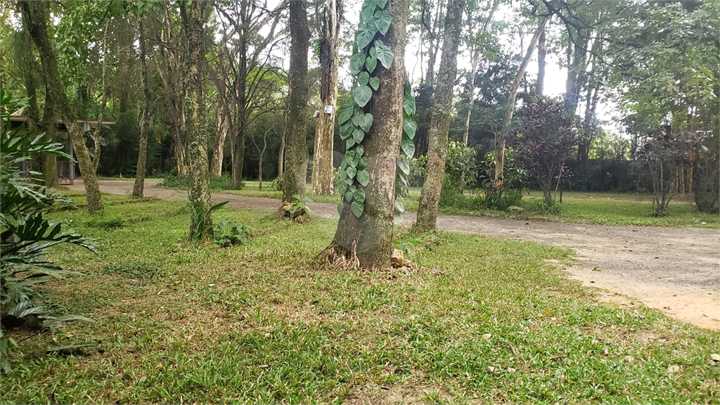 CASA TÉRREA  PARA INVESTIDOR  17.000 M² DE TERRENO AV. SEZEFREDO FAGUNDES
