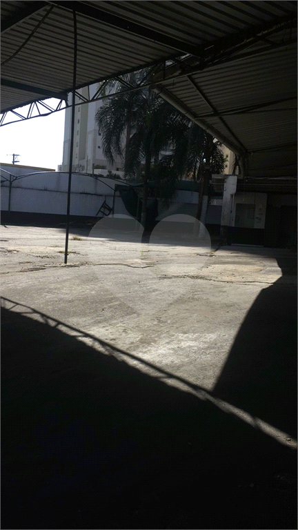 TERRENO / ESTACIONAMENTO