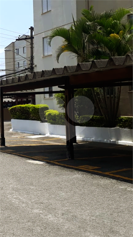Apartamento Jd. Danfer
