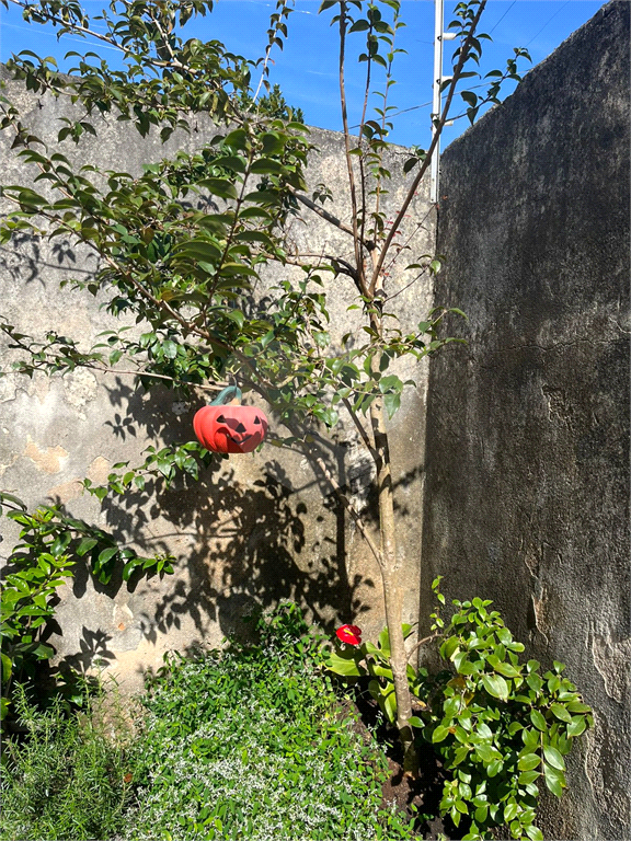 sobrado Horto Florestal