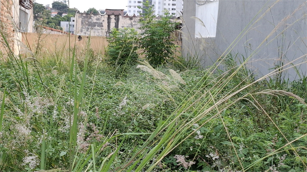 Terreno à venda, 135m² - Foto 14