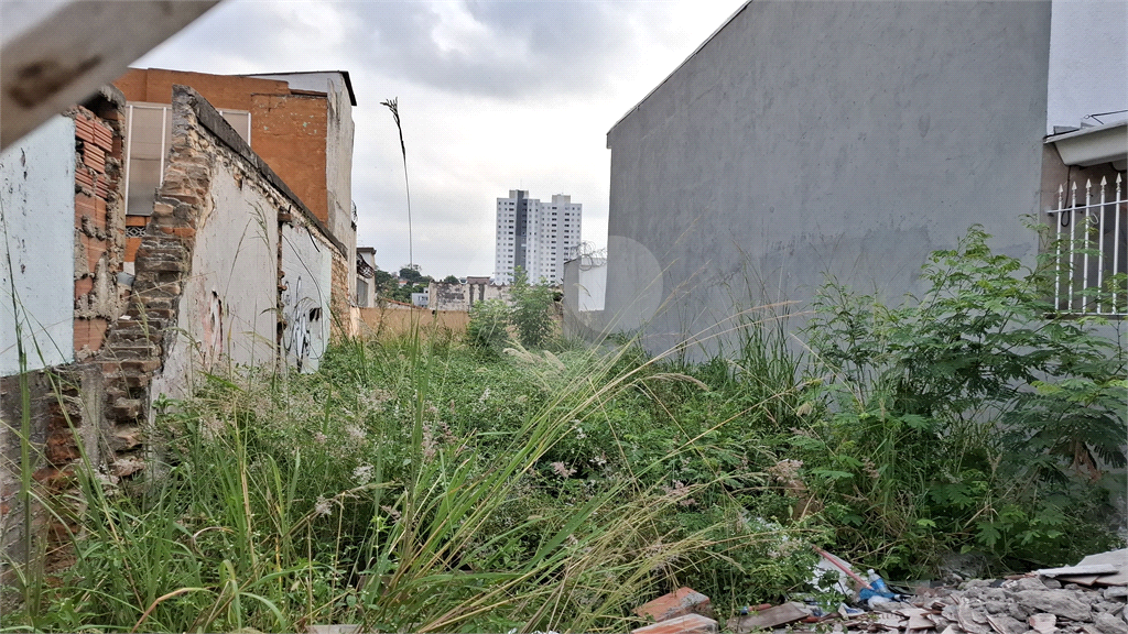 Terreno à venda, 135m² - Foto 11