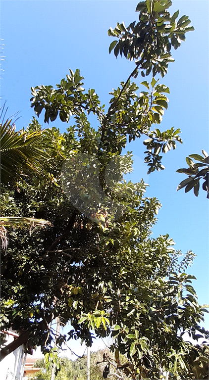 Casa, 4 quartos, 140 m² - Foto 22