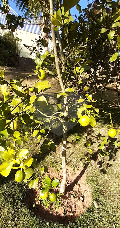 Casa, 4 quartos, 140 m² - Foto 20