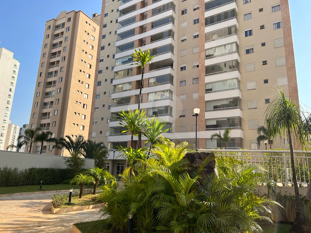 apartamento 04 dorm com varanda gourmet Santa Terezinha