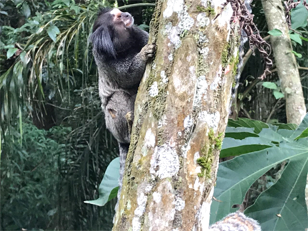 Casa de Condomínio, 4 quartos - Foto 14