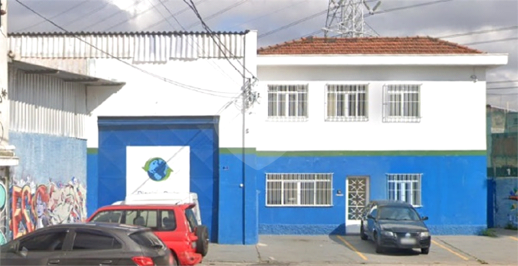 AMLO GALAO NO BAIRRO DO LIMAO