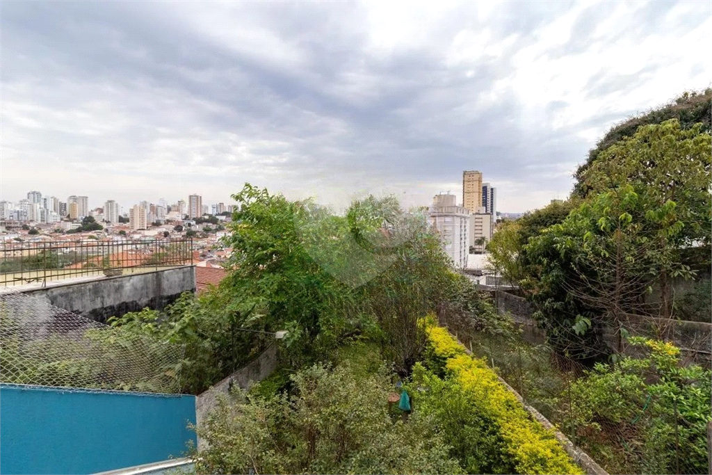 Linda Casa Jardim São Paulo 
