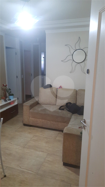 APARTAMENTO  DE 2 DORMITORIO NO JARAGUAR  ok