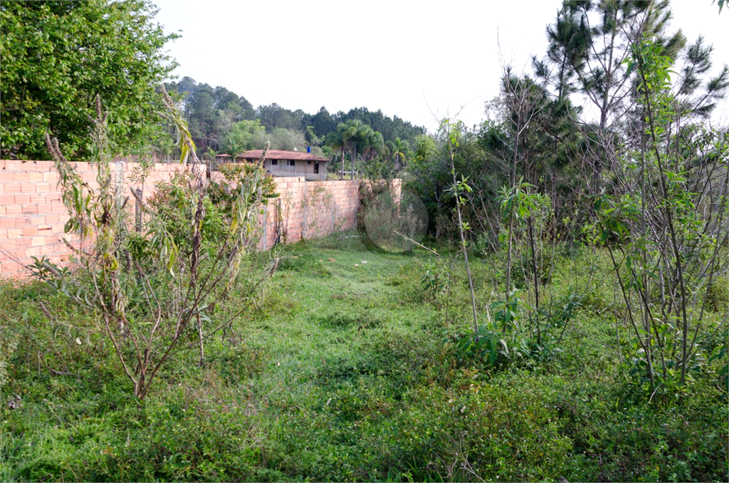 Terreno em Ibiuna