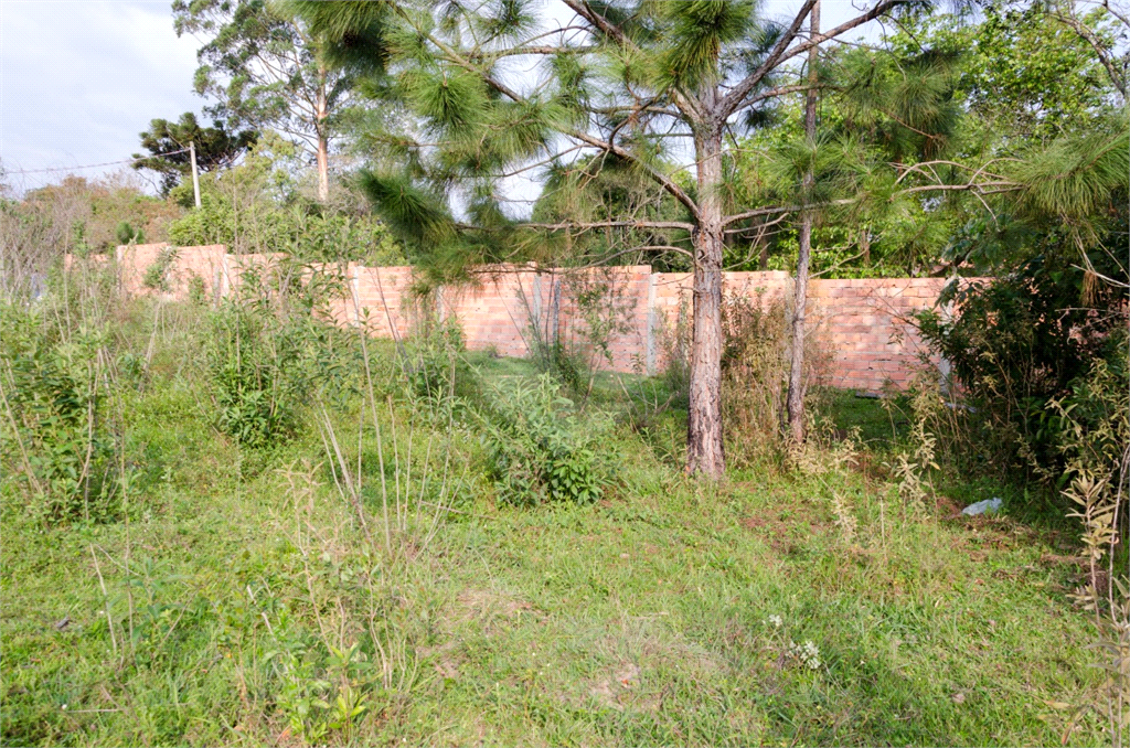 Terreno em Ibiuna