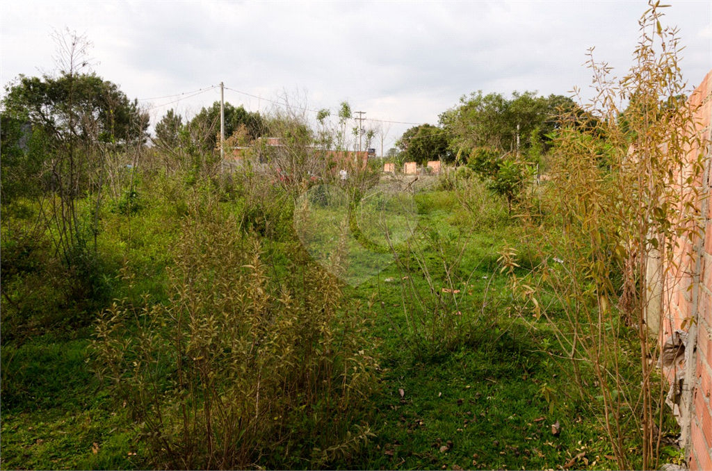 Terreno em Ibiuna