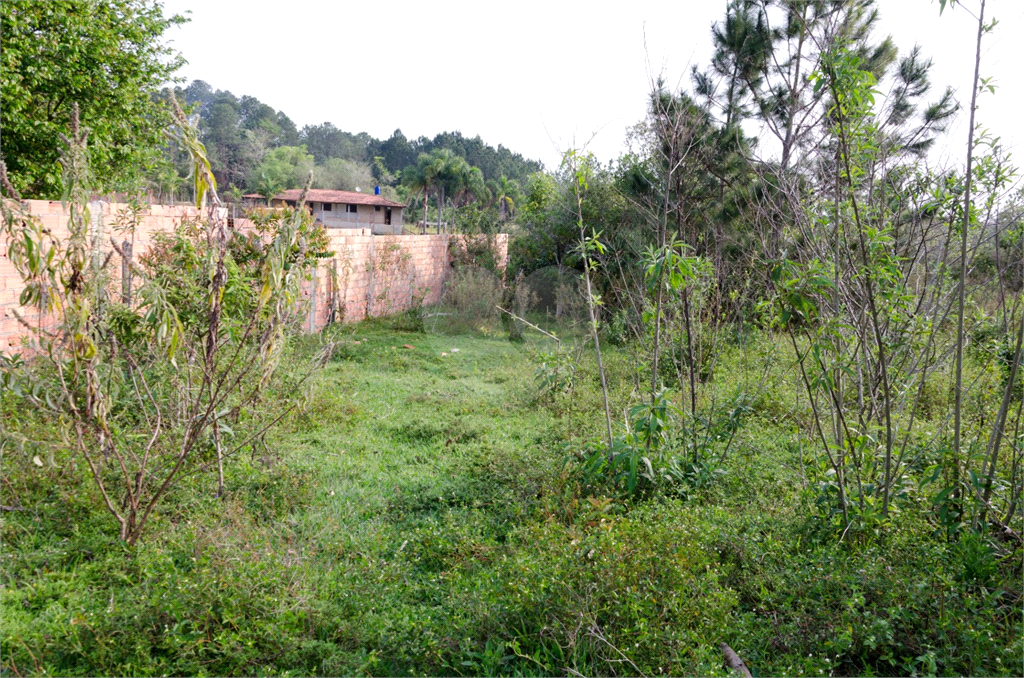Terreno em Ibiuna