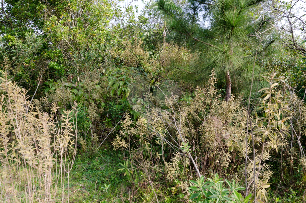 Terreno em Ibiuna