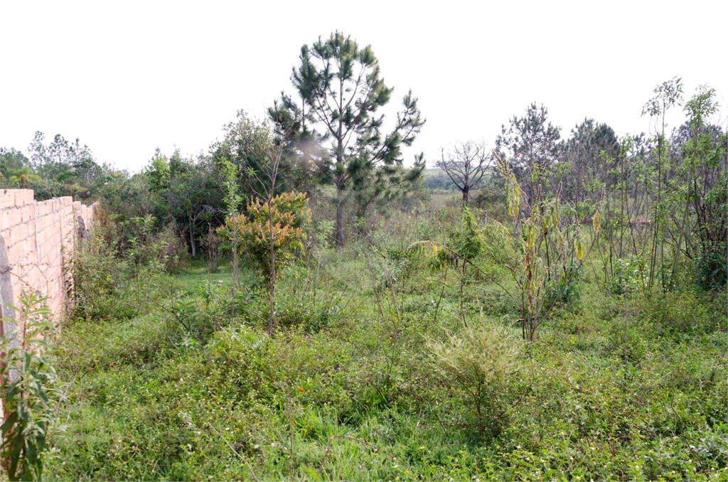 Terreno em Ibiuna
