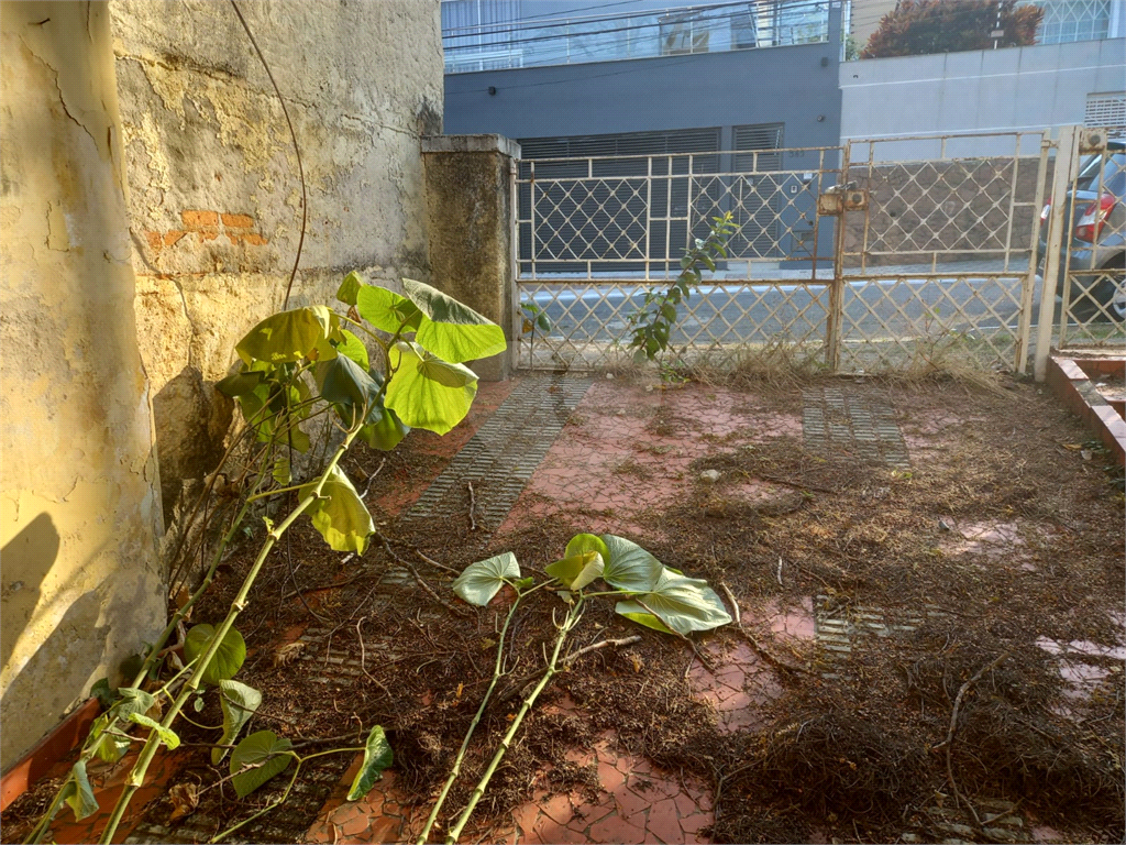 Terreno à Venda - 450 metros. Vila Albertina