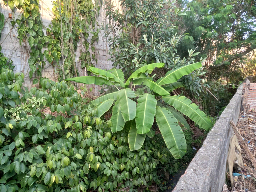 Terreno à Venda - 450 metros. Vila Albertina