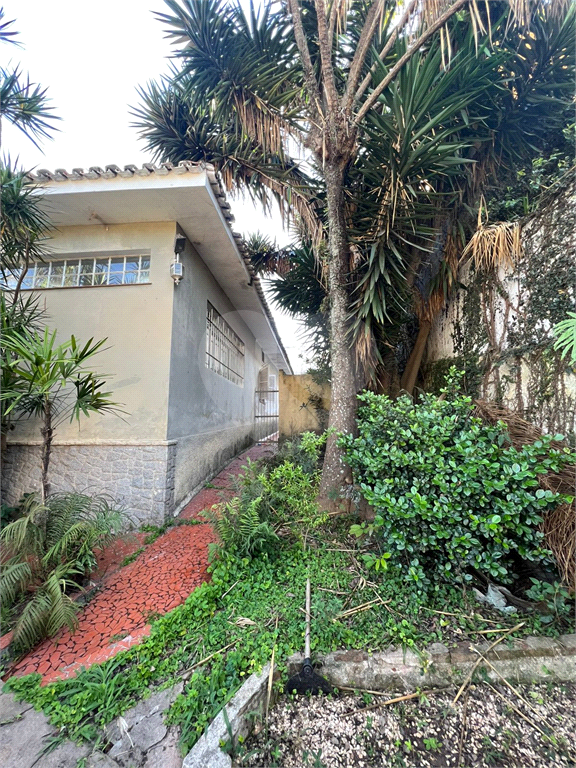 Casa no Morumbi 