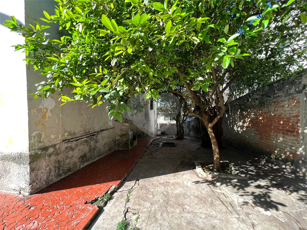Casa no Morumbi 