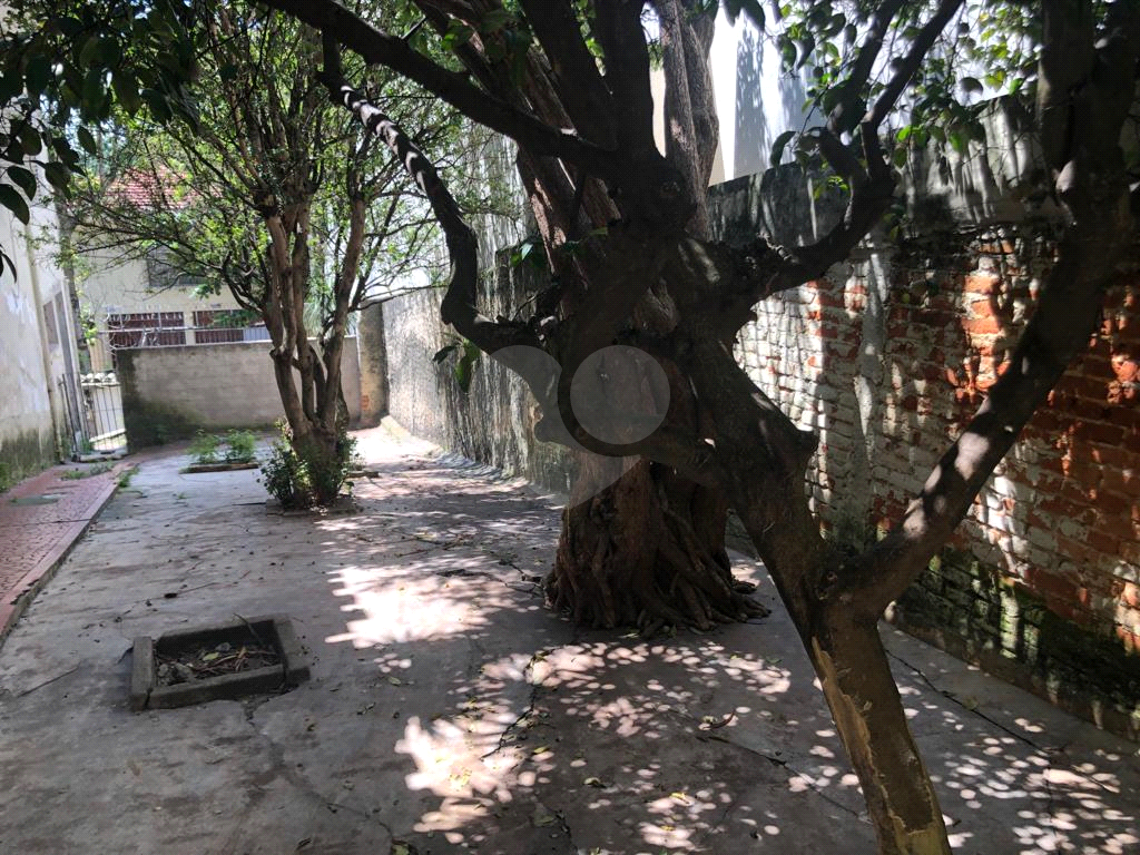 Casa no Morumbi 