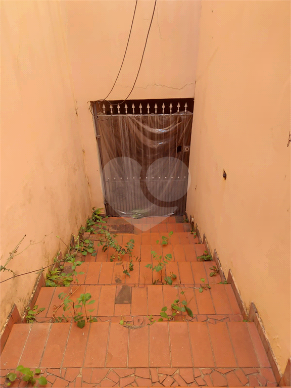 Sobrado- 